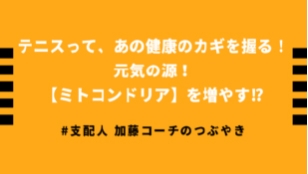 テニスって、あの健康の鍵を握る！元気の源！<br>【ミトコンドリア】を増やす！？